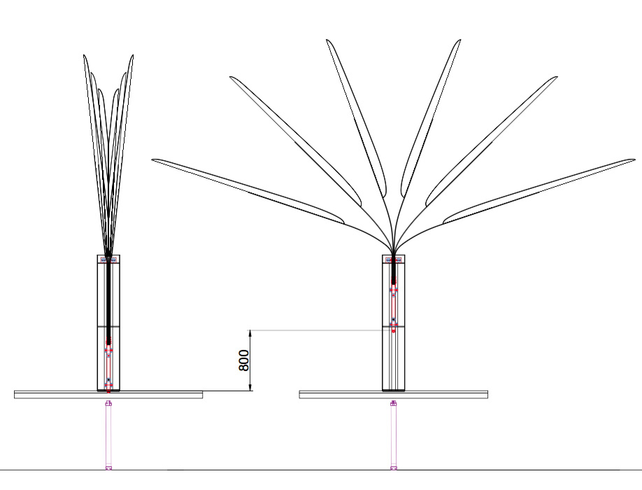 plan-arbre