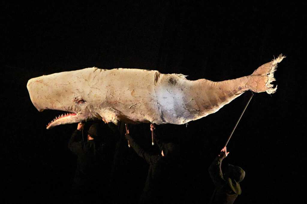 Moby Dick - Ingvild Aspeli - Plexus Polaire